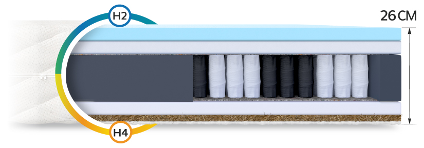 Matratze Taschenfederkern LAVAL MAX Taschenfederkern Matratzenart 